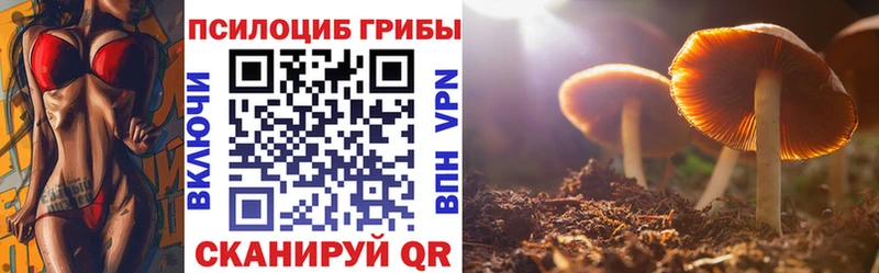 Псилоцибиновые грибы прущие грибы  Слюдянка 